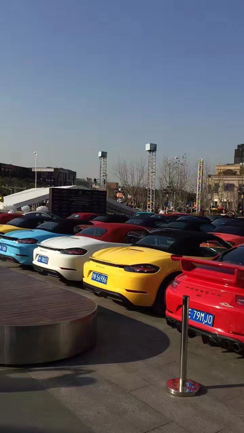 广东保时捷租赁服务与上海租车市场 企业自驾与长包车新选择